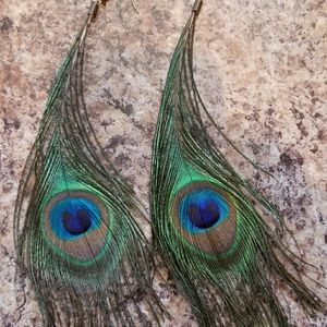 Peacock feather earrings